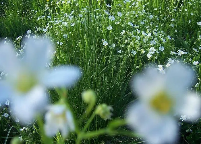 Privatunterkunft Karpnicka Struga W Dolinie Palacow I Ogrodow Jelenia Góra